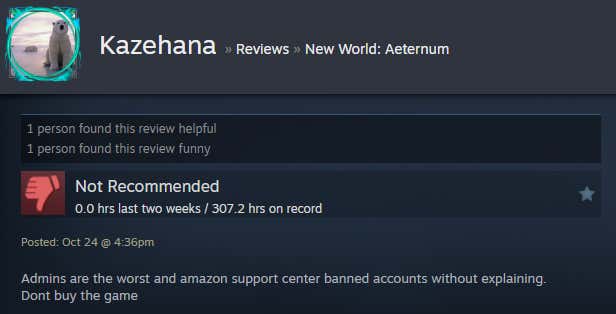 Image of the article titled New World: Eternal, as described in a Steam review